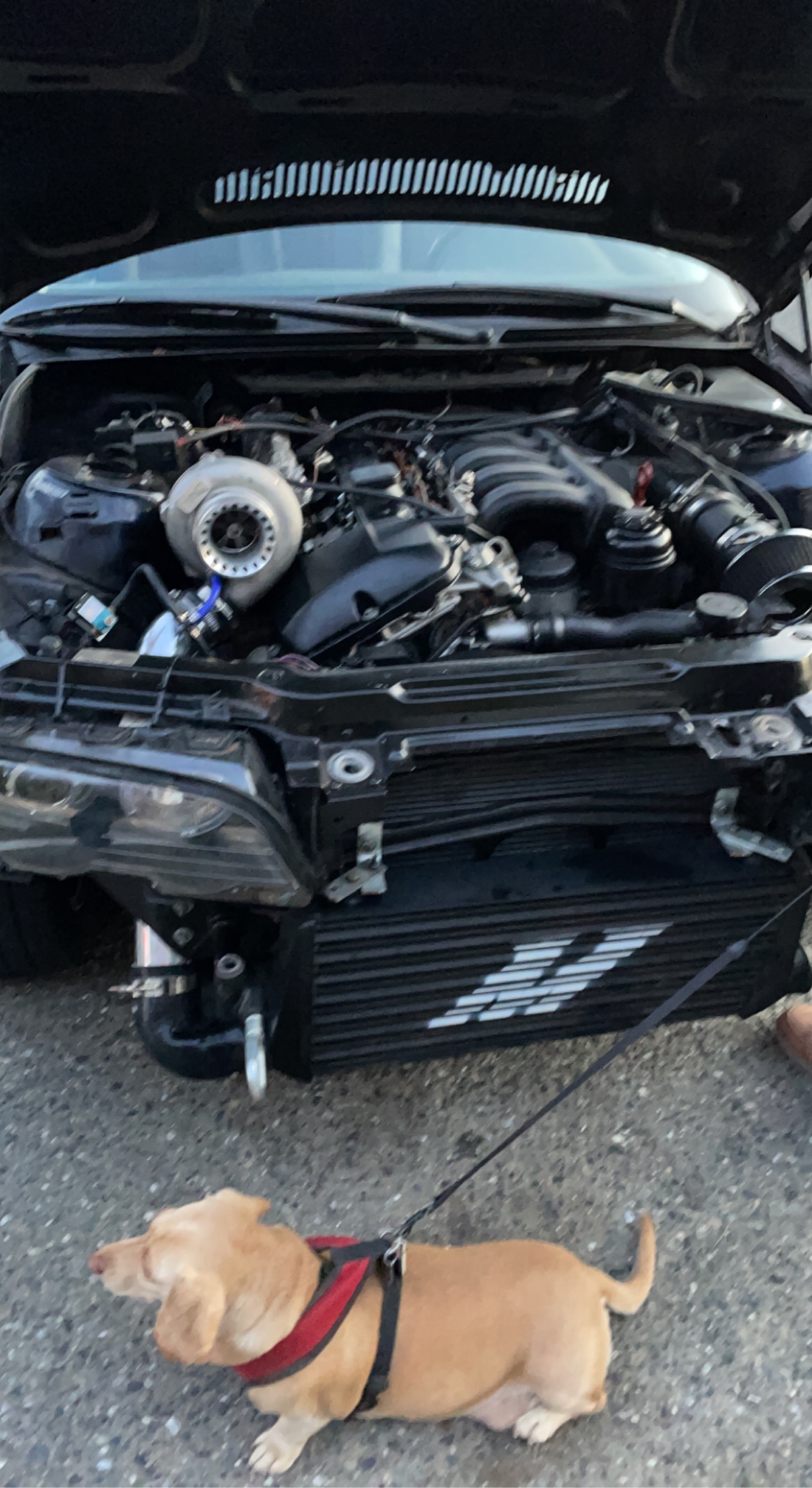 Picture of a BMW e46 with the hood open showing off the intercooler and turbocharger